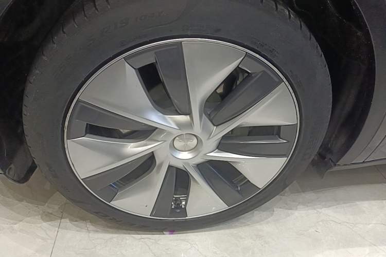 Used Tesla Model Y 2022 Rear-Wheel-Drive Version Exterior 4