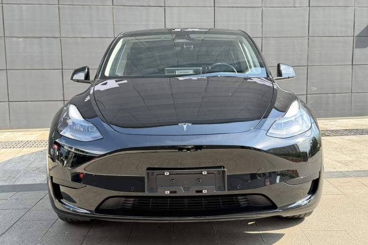 Used Tesla Model Y 2022 Rear-Wheel-Drive Version Exterior 4
