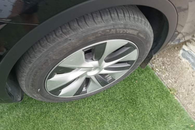 Used Tesla Model Y 2022 Rear-Wheel-Drive Version Exterior 4