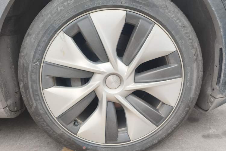 Used Tesla Model Y 2022 Rear-Wheel-Drive Version Exterior 4
