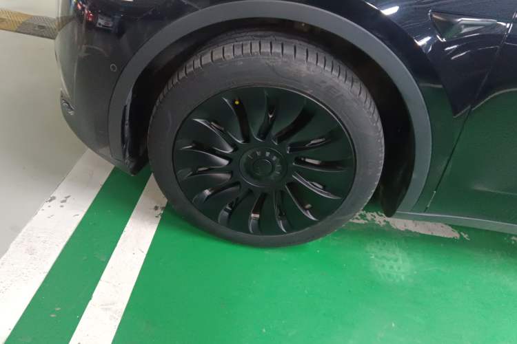 Used Tesla Model Y 2022 Rear-Wheel-Drive Version Exterior 4