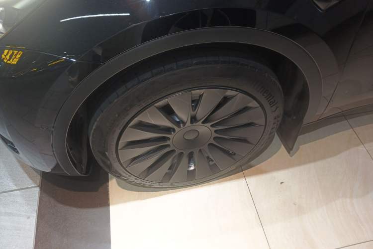Used Tesla Model Y 2022 Rear-Wheel-Drive Version Exterior 4
