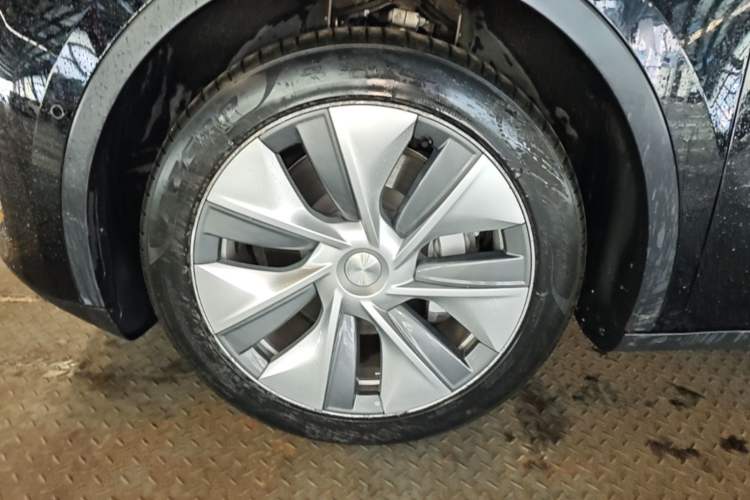 Used Tesla Model Y 2022 Rear-Wheel-Drive Version Exterior 4