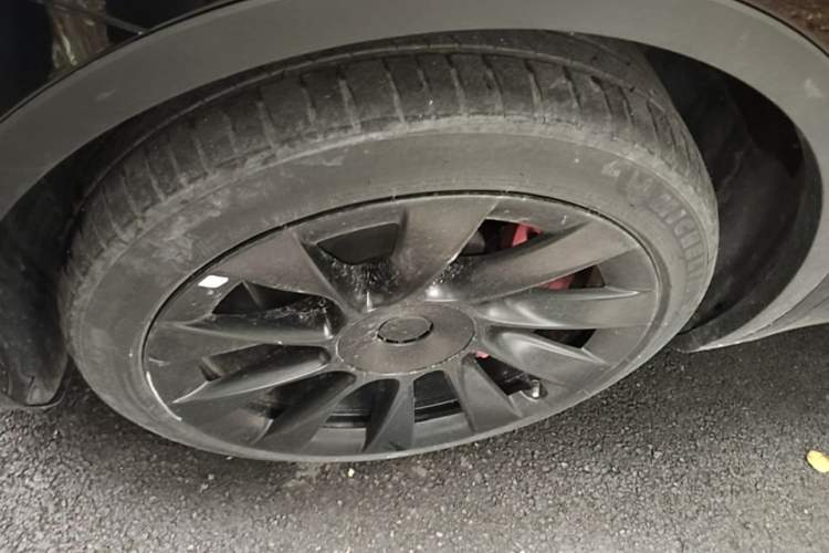 Used Tesla Model Y 2022 Revised Version Rear-Wheel Drive Exterior 4