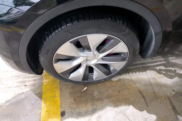 Used Tesla Model Y 2022 Rear-Wheel-Drive Version Exterior 4