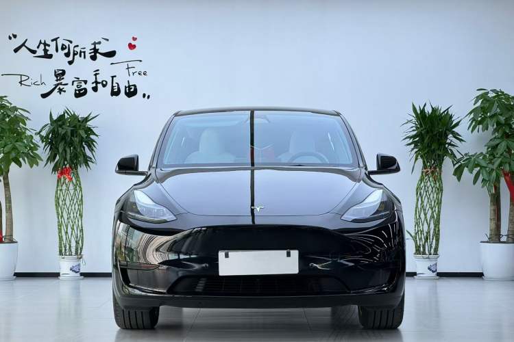 Used Tesla Model Y 2022 Revised Version Rear-Wheel Drive Exterior 4