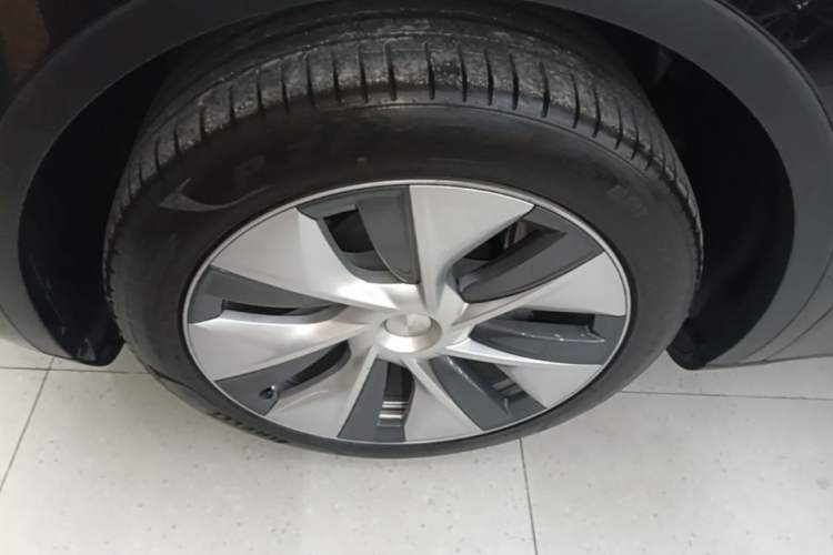 Used Tesla Model Y 2022 Revised Version Rear-Wheel Drive Exterior 4