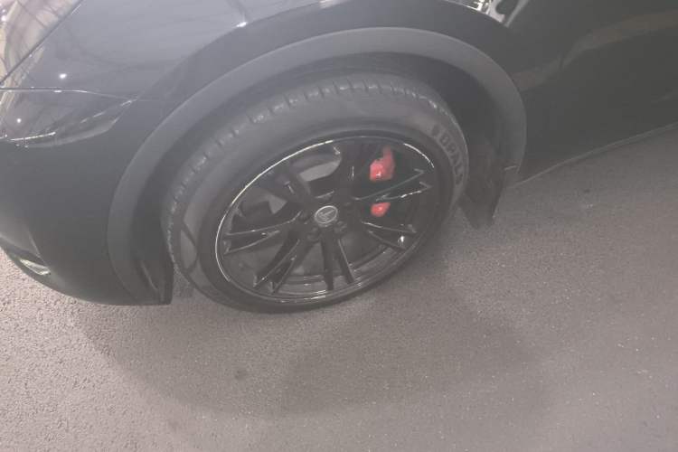 Used Tesla Model Y 2022 Rear-Wheel-Drive Version Exterior 4