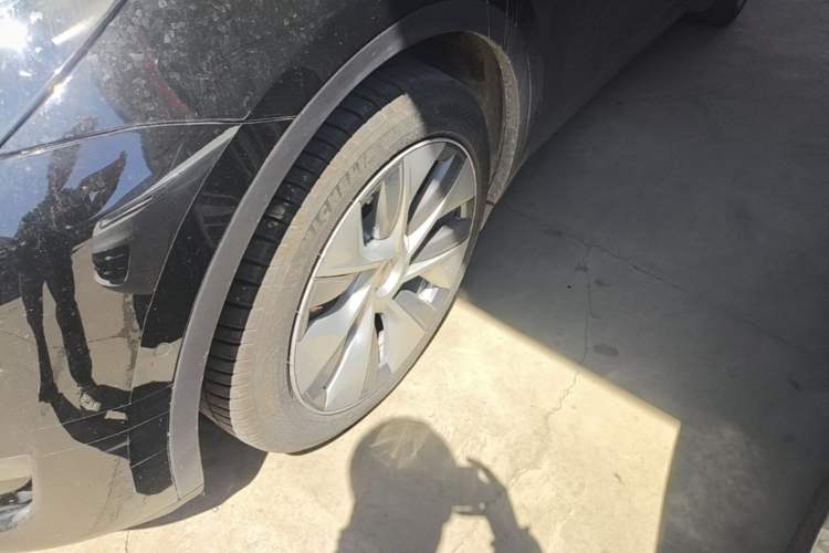 Used Tesla Model Y 2022 Rear-Wheel-Drive Version Exterior 4