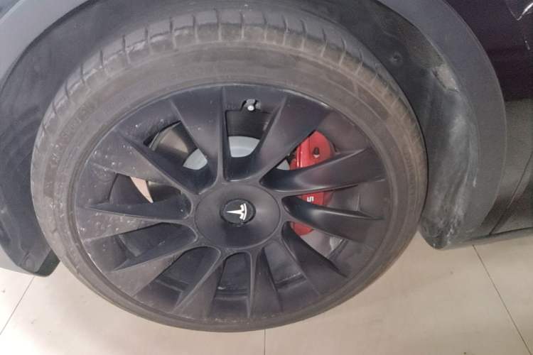 Used Tesla Model Y 2022 Rear-Wheel-Drive Version Exterior 4
