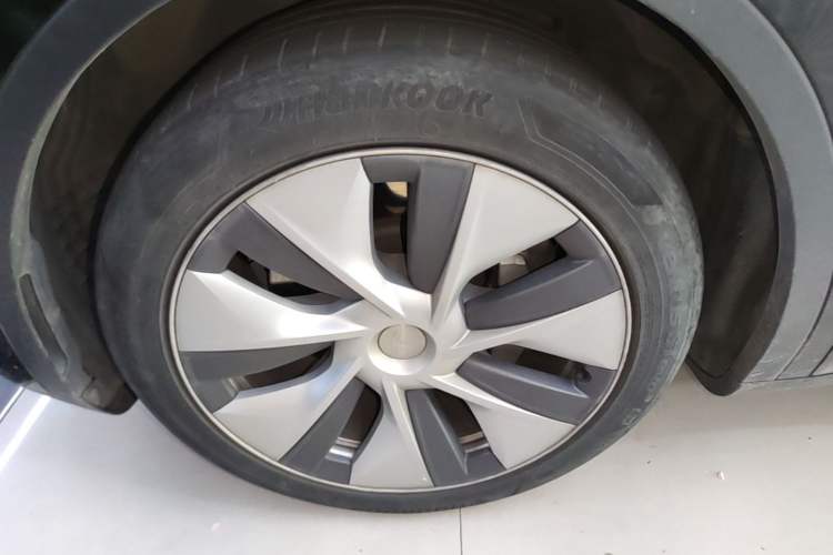 Used Tesla Model Y 2022 Long-Range All-Wheel-Drive Version Exterior 4