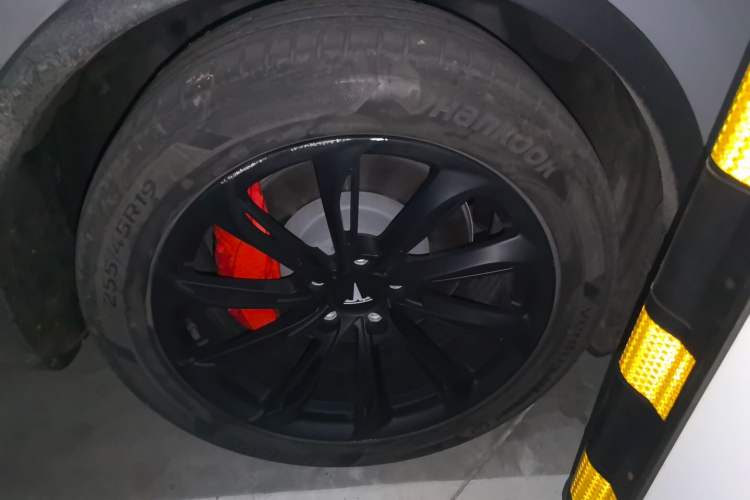 Used Tesla Model Y 2022 Rear-Wheel-Drive Version Exterior 4