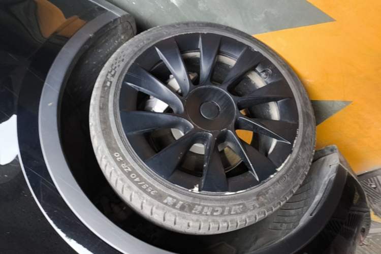 Used Tesla Model Y 2022 Rear-Wheel-Drive Version Exterior 4