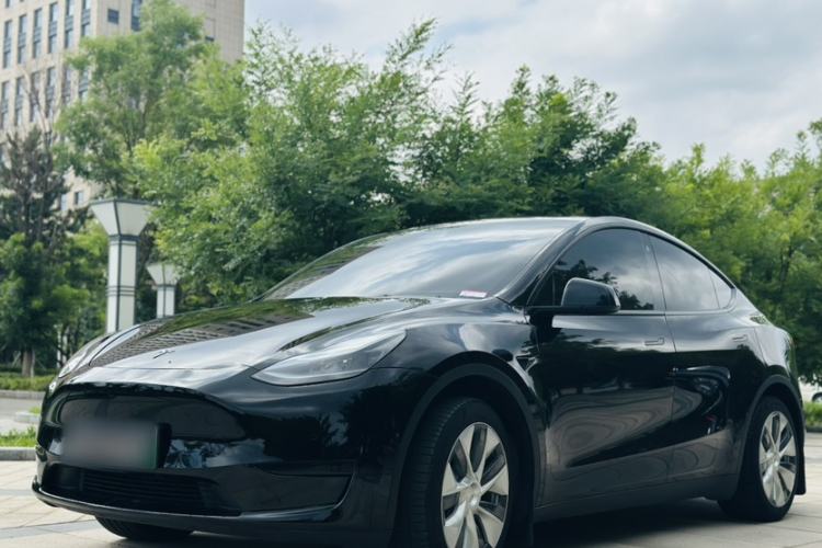 Used Tesla Model Y 2022 Rear-Wheel-Drive Version Exterior 4