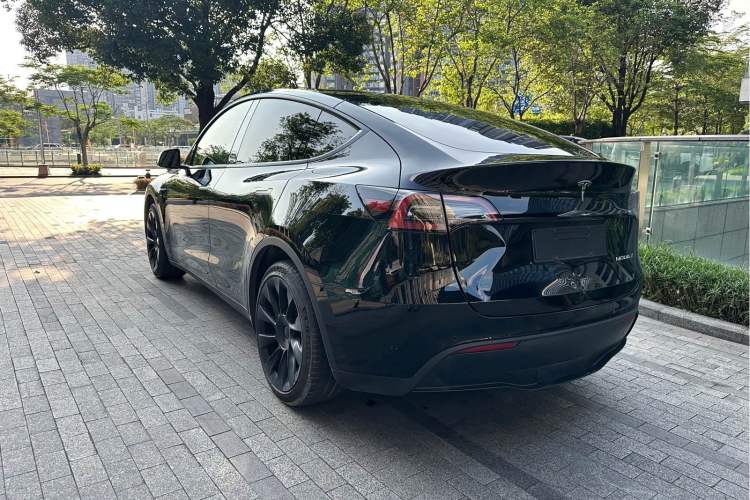 Used Tesla Model Y 2022 Rear-Wheel-Drive Version Exterior 4