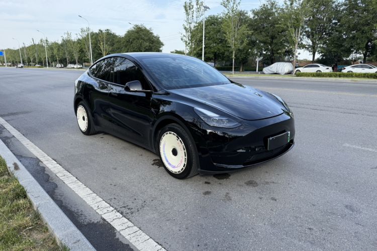 Used Tesla Model Y 2022 Revised Version Rear-Wheel Drive Exterior 4