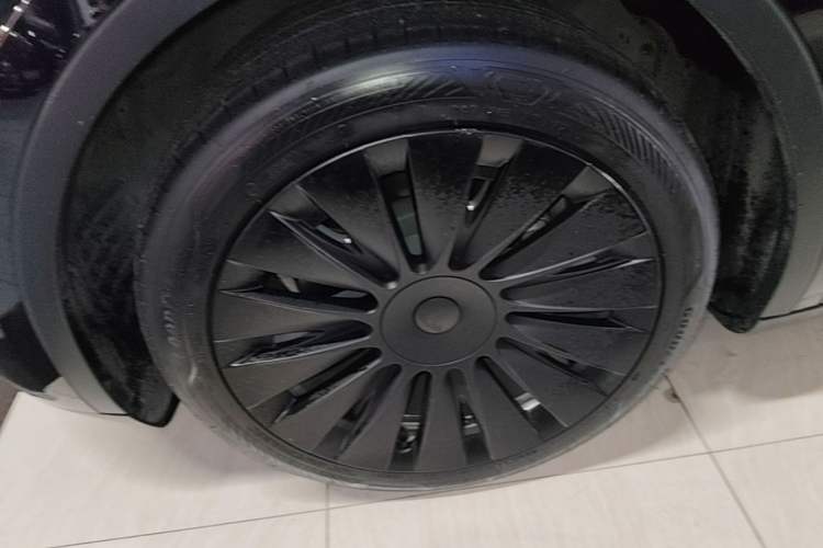 Used Tesla Model Y 2022 Revised Version Rear-Wheel Drive Exterior 4