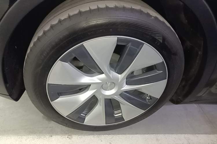 Used Tesla Model Y 2022 Revised Version Rear-Wheel Drive Exterior 4