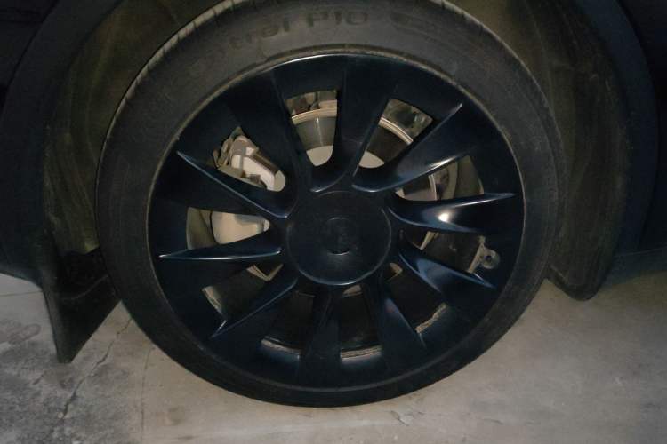 Used Tesla Model Y 2022 Long-Range All-Wheel-Drive Version Exterior 4