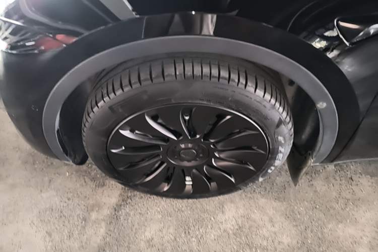 Used Tesla Model Y 2022 Rear-Wheel-Drive Version Exterior 4