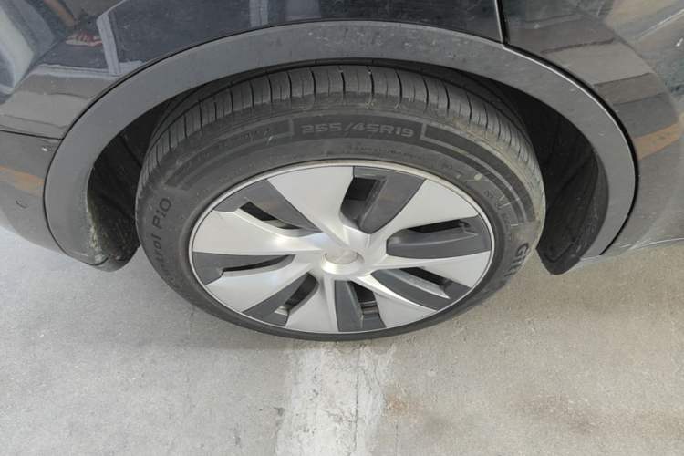 Used Tesla Model Y 2022 Revised Version Rear-Wheel Drive Exterior 5