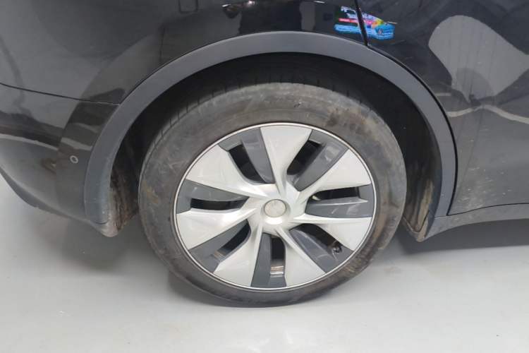 Used Tesla Model Y 2022 Revised Version Rear-Wheel Drive Exterior 5