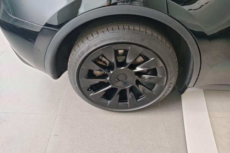 Used Tesla Model Y 2022 Long-Range All-Wheel-Drive Version Exterior 5