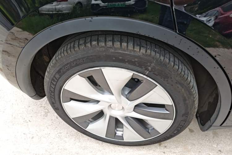 Used Tesla Model Y 2022 Rear-Wheel-Drive Version Exterior 5