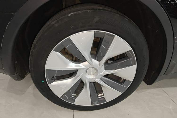 Used Tesla Model Y 2022 Revised Version Rear-Wheel Drive Exterior 5