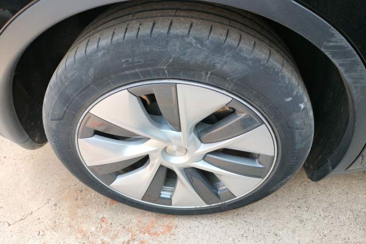 Used Tesla Model Y 2022 Revised Version Rear-Wheel Drive Exterior 5