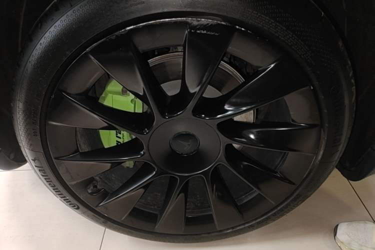 Used Tesla Model Y 2022 Rear-Wheel-Drive Version Exterior 5