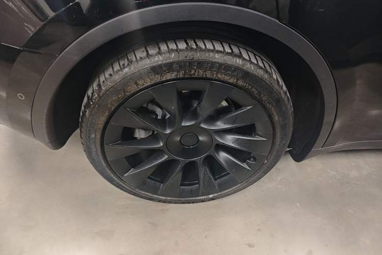 Used Tesla Model Y 2022 Revised Version Long-Range All-Wheel Drive Exterior 5