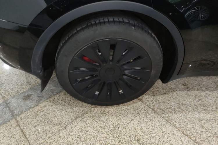 Used Tesla Model Y 2022 Revised Version Rear-Wheel Drive Exterior 5
