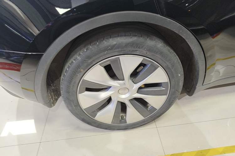 Used Tesla Model Y 2022 Rear-Wheel-Drive Version Exterior 5
