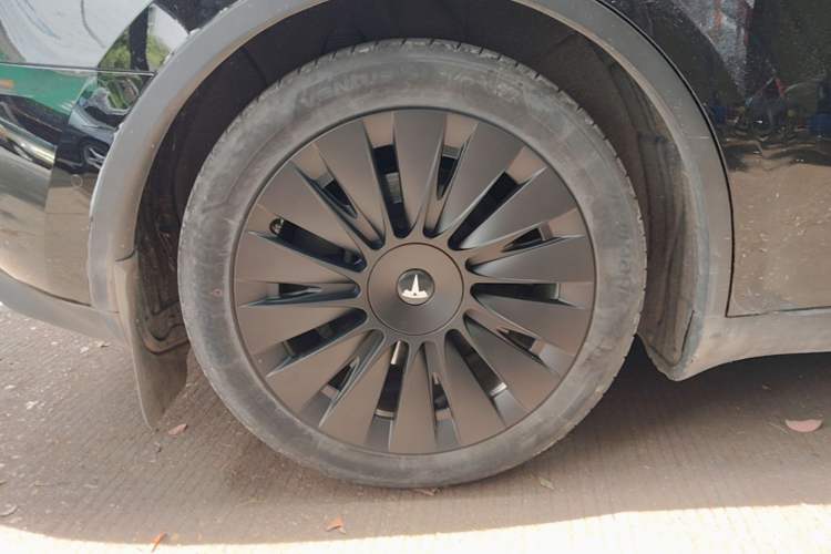 Used Tesla Model Y 2022 Revised Version Rear-Wheel Drive Exterior 5