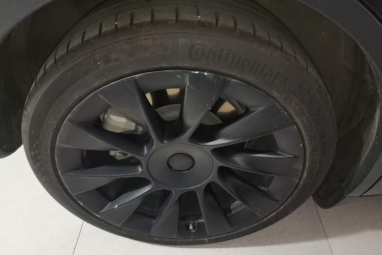 Used Tesla Model Y 2022 Rear-Wheel-Drive Version Exterior 5