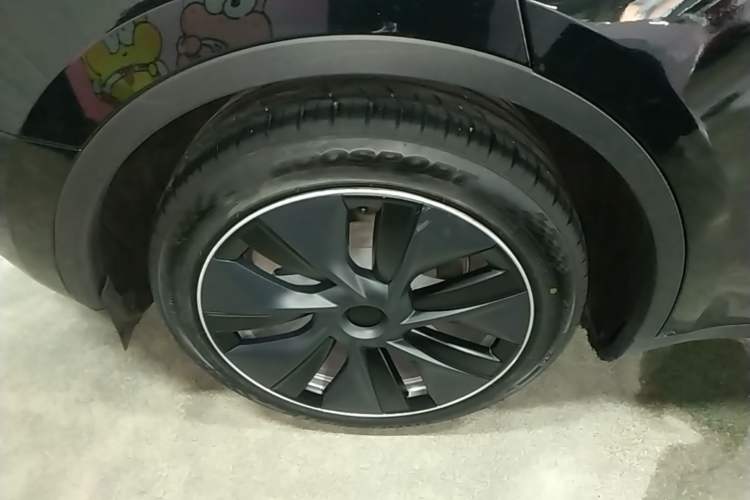 Used Tesla Model Y 2022 Revised Version Rear-Wheel Drive Exterior 5