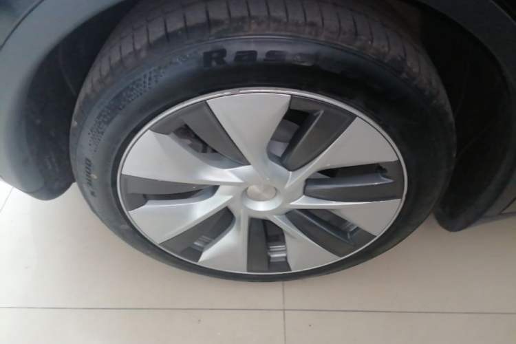 Used Tesla Model Y 2022 Rear-Wheel-Drive Version Exterior 5