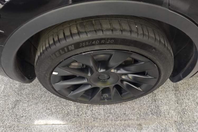 Used Tesla Model Y 2022 Rear-Wheel-Drive Version Exterior 5