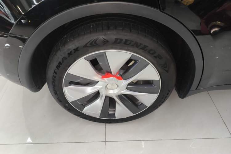 Used Tesla Model Y 2022 Long-Range All-Wheel-Drive Version Exterior 5