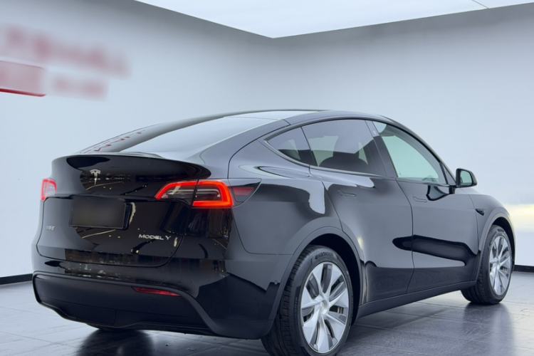 Used Tesla Model Y 2022 Rear-Wheel-Drive Version Exterior 5