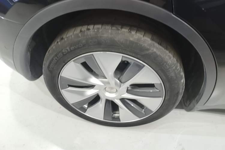 Used Tesla Model Y 2022 Revised Version Long-Range All-Wheel Drive Exterior 5