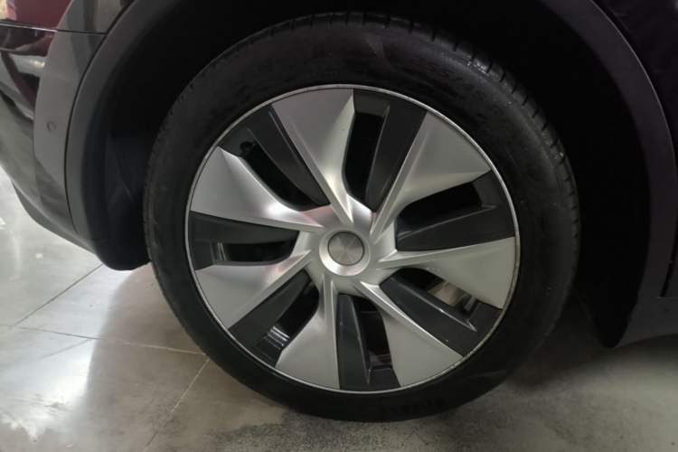 Used Tesla Model Y 2022 Rear-Wheel-Drive Version Exterior 5