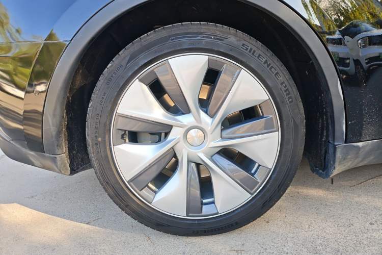 Used Tesla Model Y 2022 Rear-Wheel-Drive Version Exterior 5
