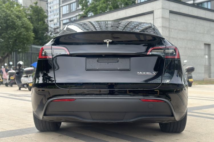 Used Tesla Model Y 2022 Performance High-Performance All-Wheel-Drive Version Exterior 5