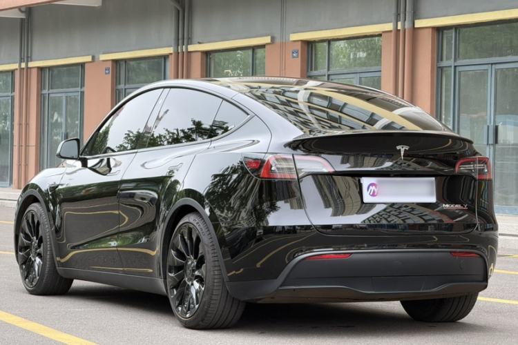 Used Tesla Model Y 2022 Performance High-Performance All-Wheel-Drive Version Exterior 5