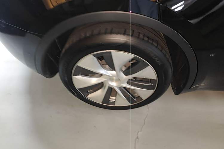 Used Tesla Model Y 2022 Rear-Wheel-Drive Version Exterior 5