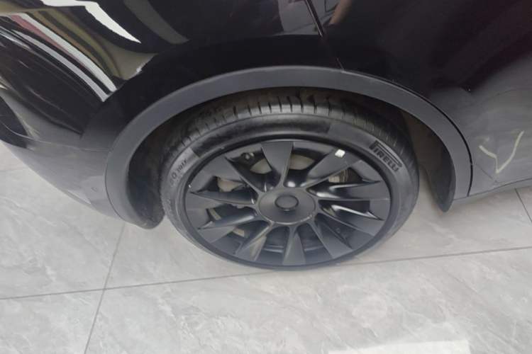 Used Tesla Model Y 2022 Rear-Wheel-Drive Version Exterior 5