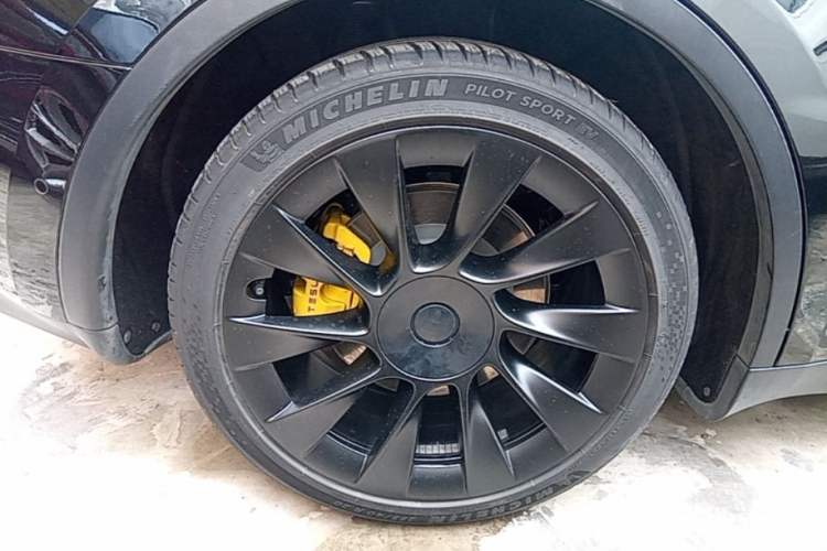 Used Tesla Model Y 2022 Rear-Wheel-Drive Version Exterior 5