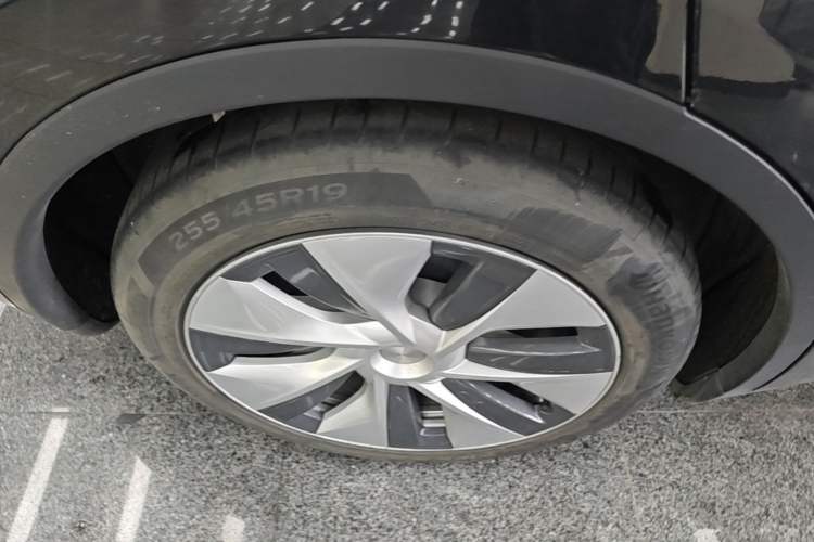 Used Tesla Model Y 2022 Rear-Wheel-Drive Version Exterior 5